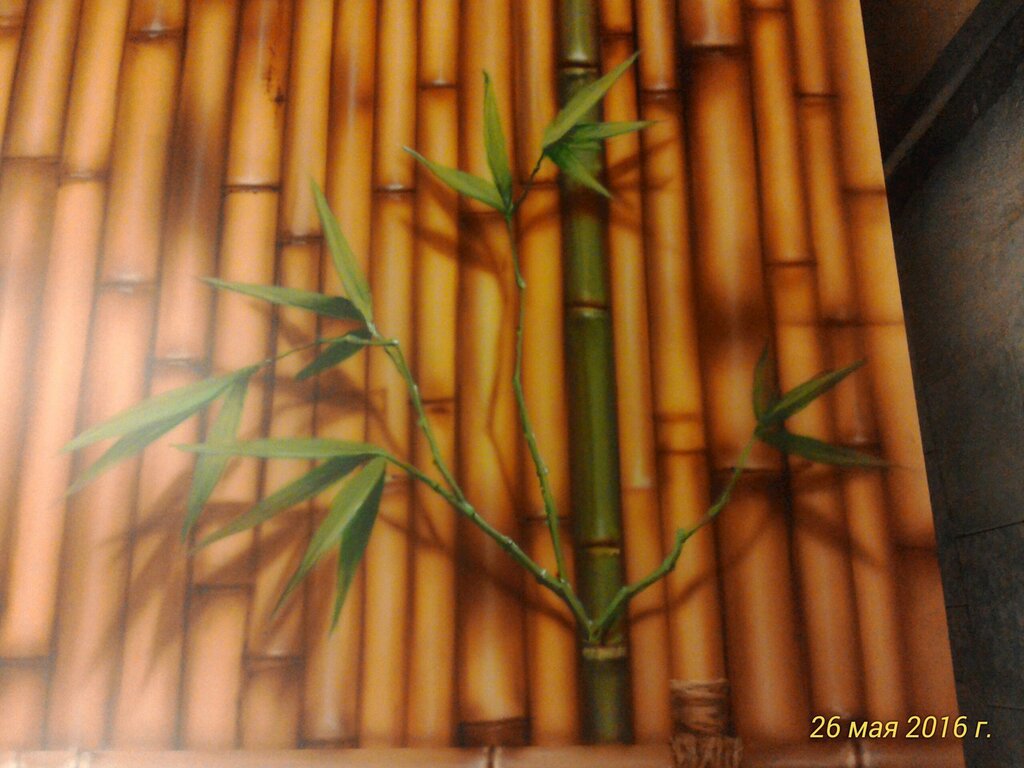Бамбуковая соломка на стену