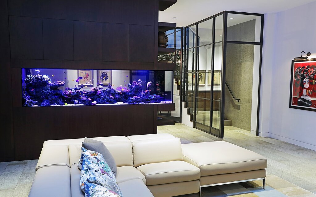 Large aquariums in the apartment