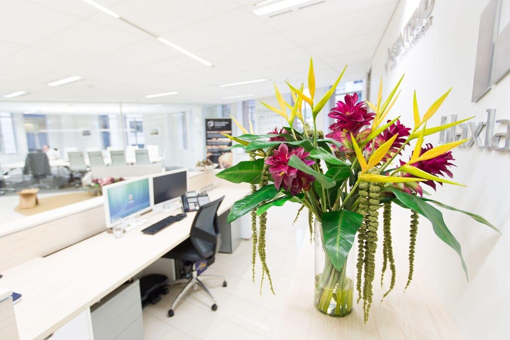 A bouquet of flowers in the office