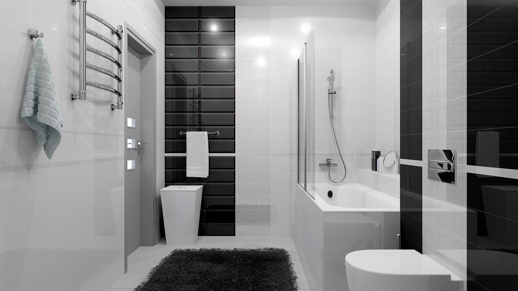 Черно белая ванна с душевой кабиной