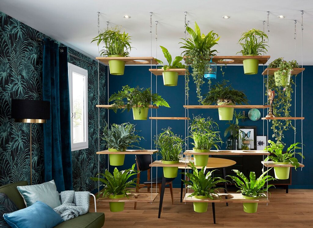 Decor for indoor plants