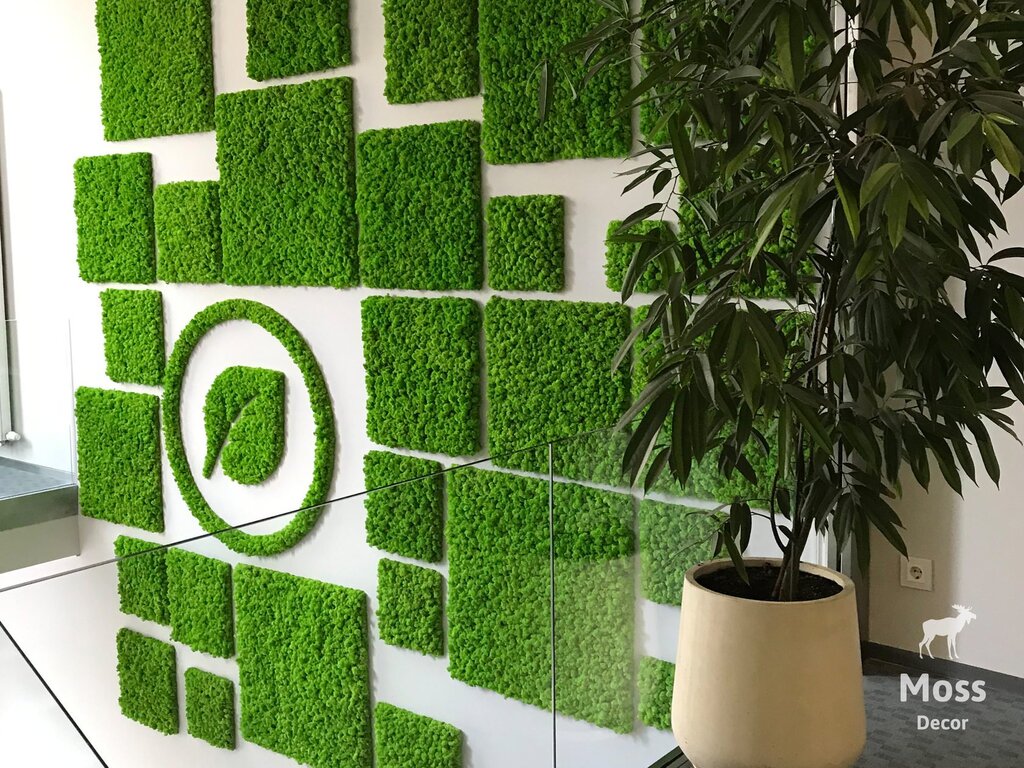 Декор из зелени на стену