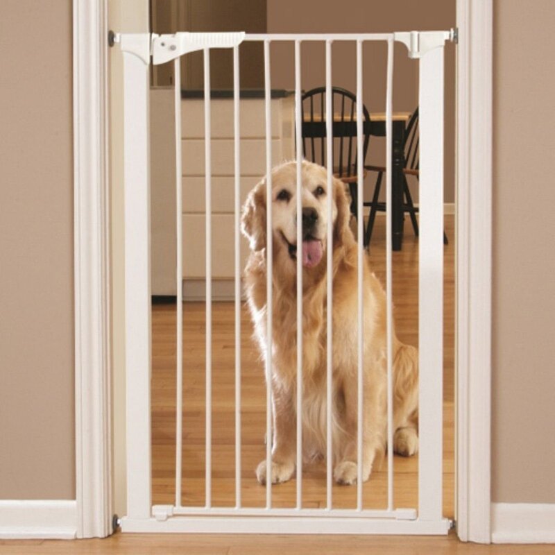 Дверь для собаки