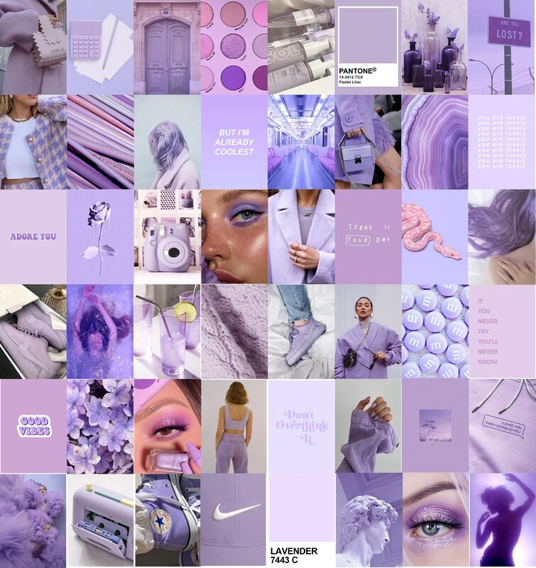 Фиолетовый пол