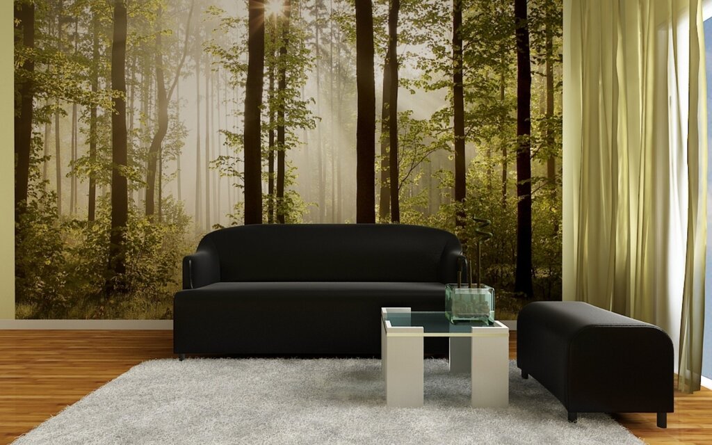 Photo wallpaper of a forest in the interior of the living room