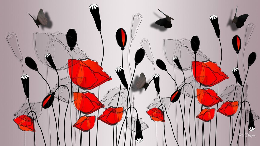 Photo wallpaper poppies on the wall