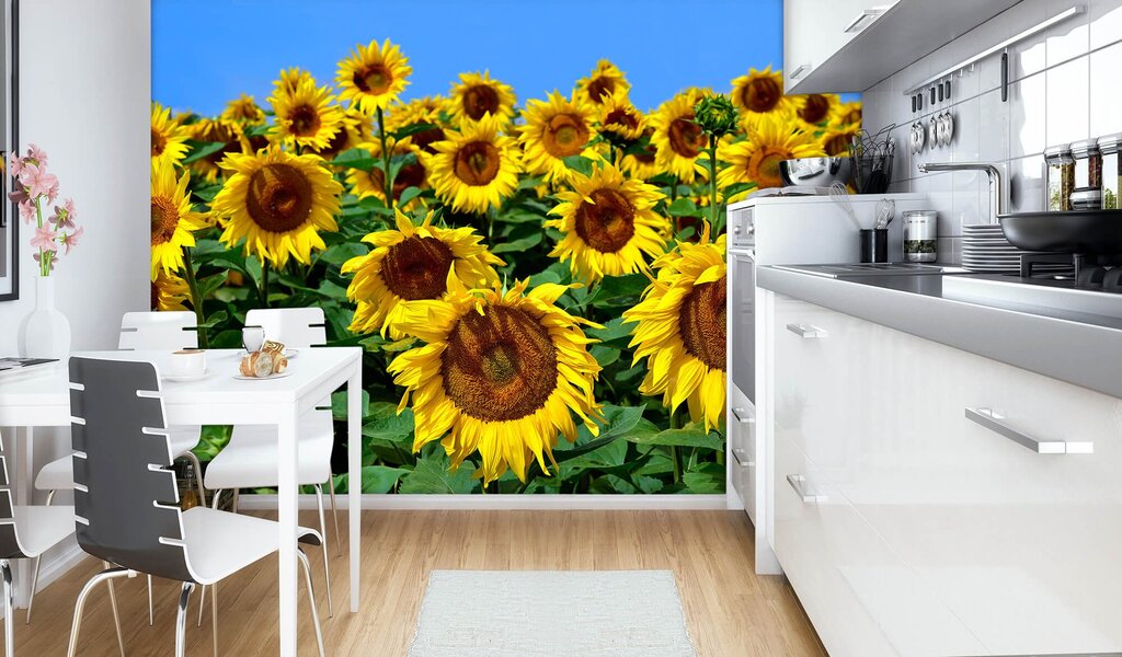 Photo wallpaper sunflowers