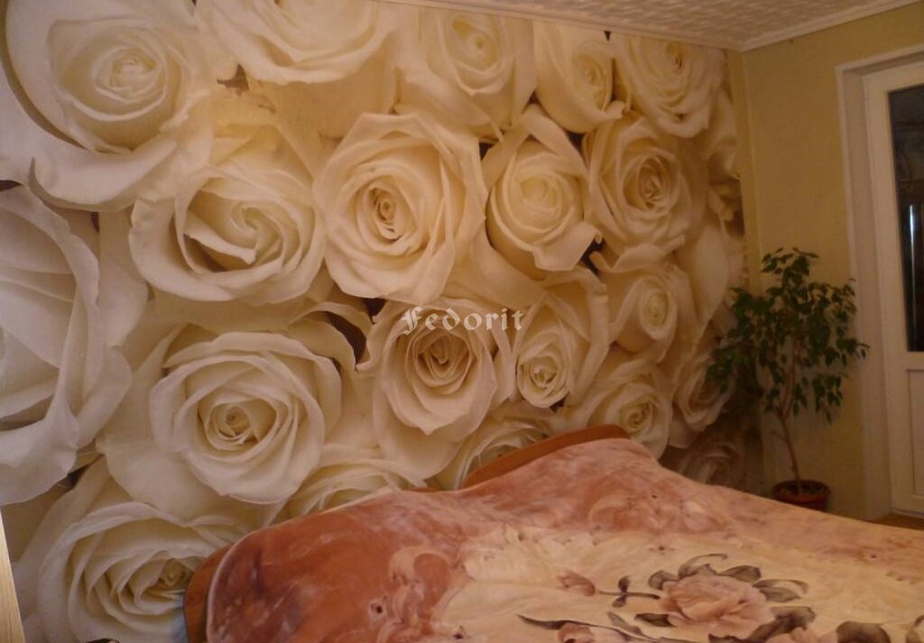 Photo wallpaper roses