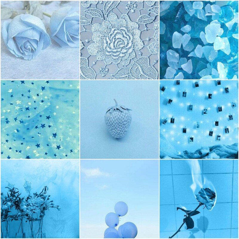 Blue floral wallpaper