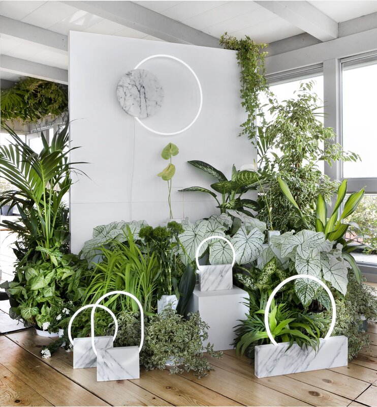 Artificial plants in apartment interiors