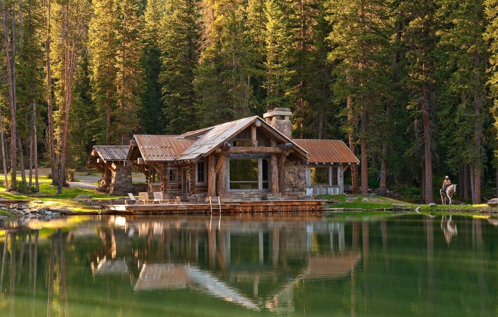 Pictures of a house in the forest