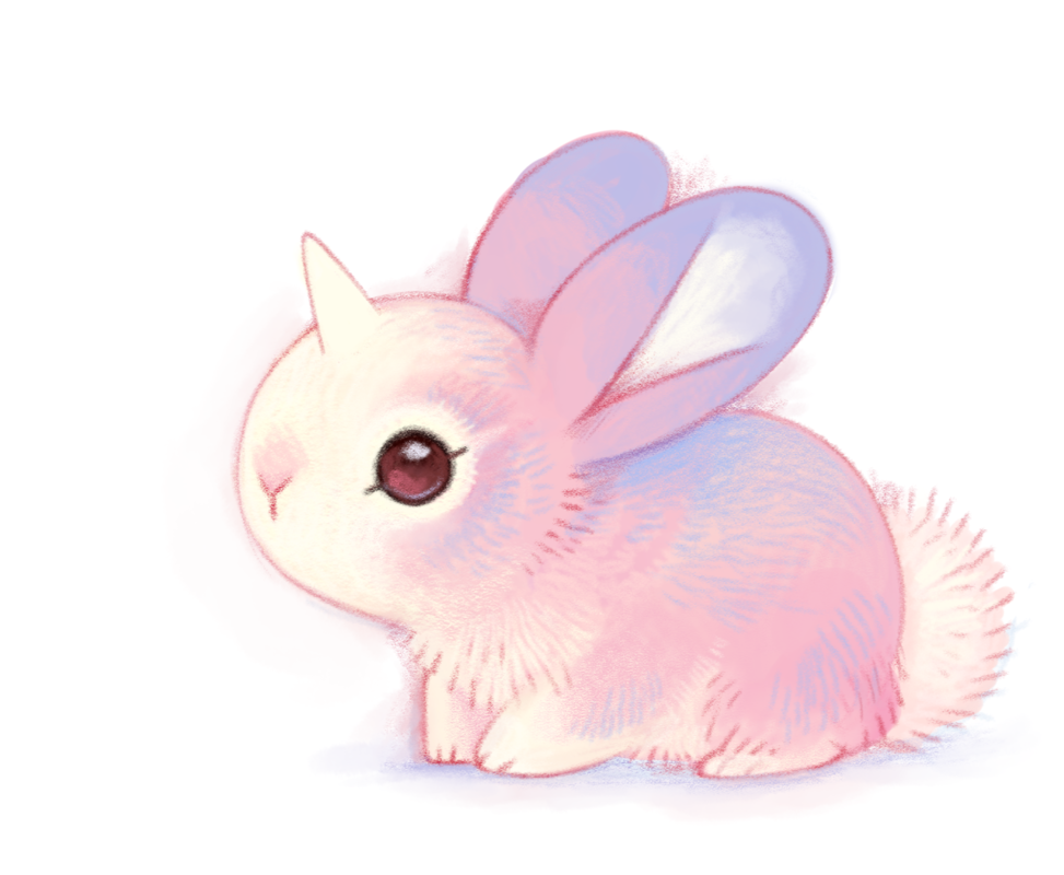 Pictures of rabbits for drawing