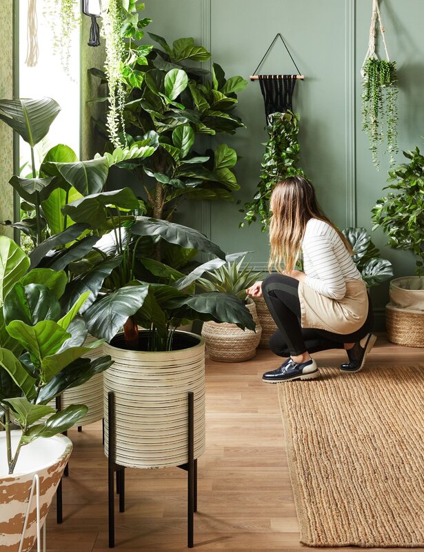 Indoor floor flowers