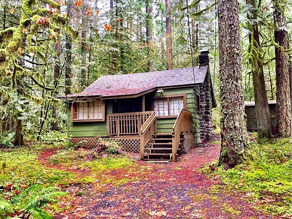 A beautiful house in the forest