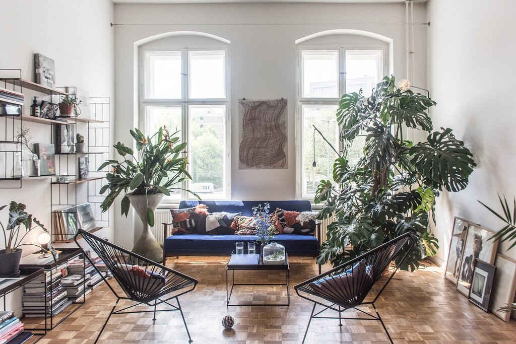 Monstera in the apartment interior