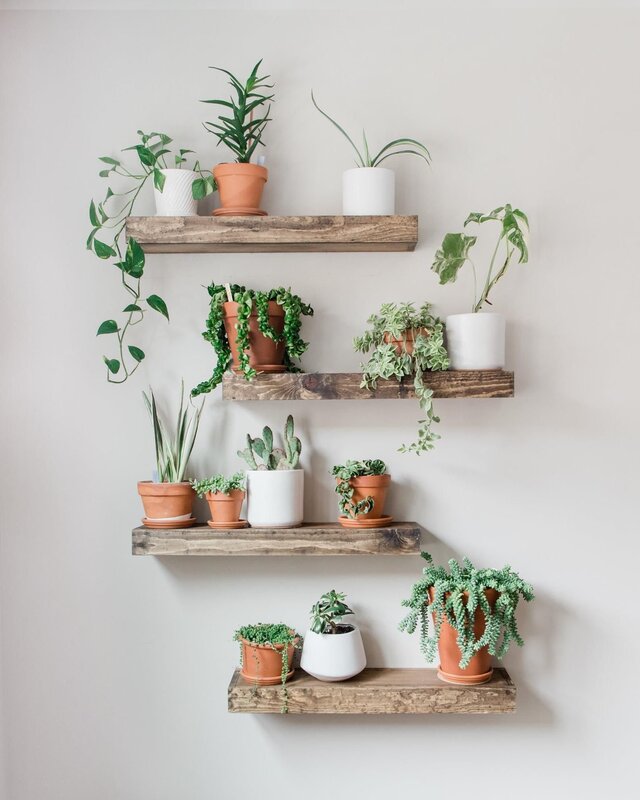 Wall shelves for flowers