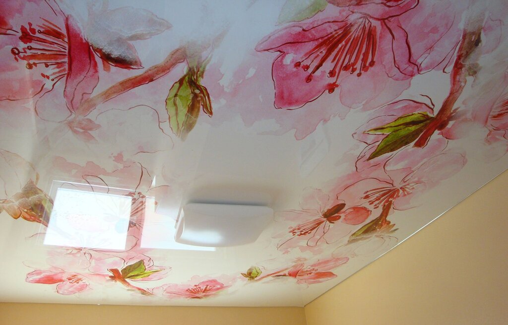 Stretch ceilings colored with a pattern 28 фото