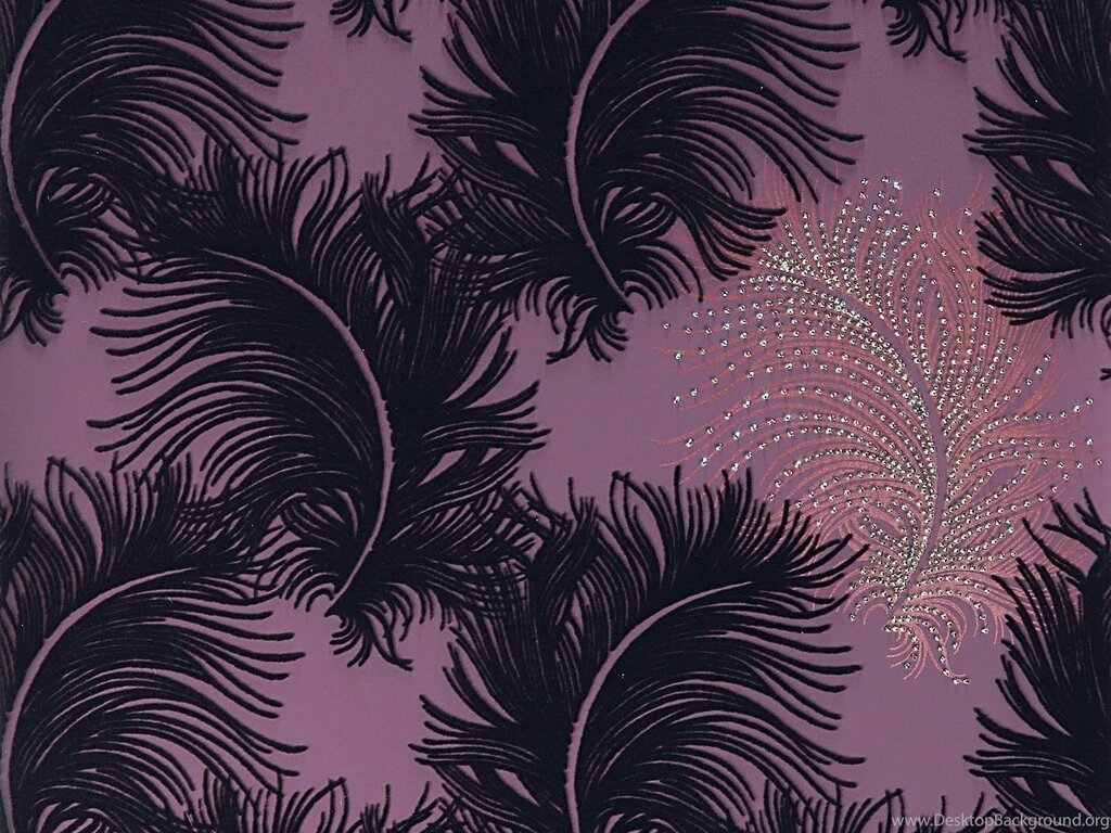 The wallpaper is black with feathers