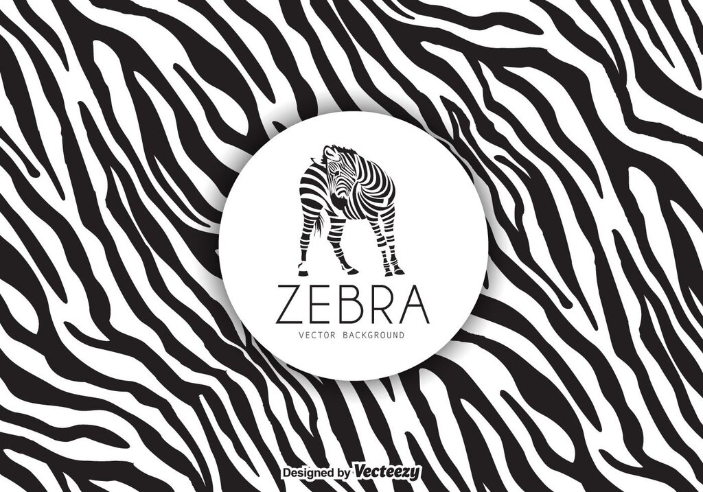 Обои зебра