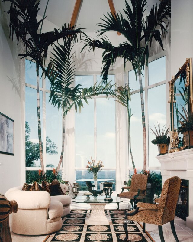 Пальмы в интерьере квартиры