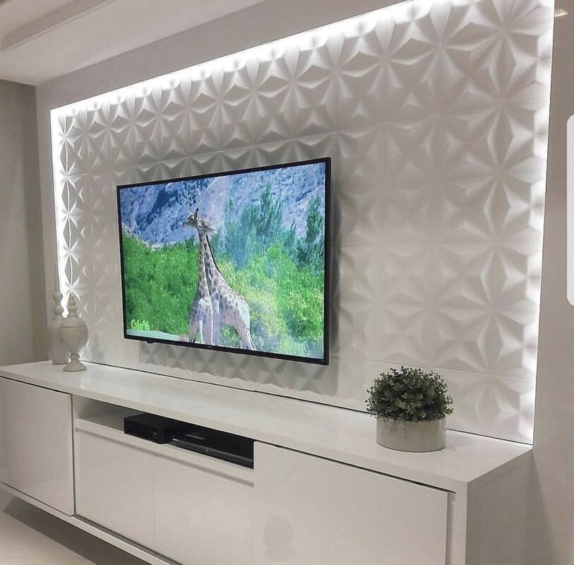 Wall-mounted TV panel