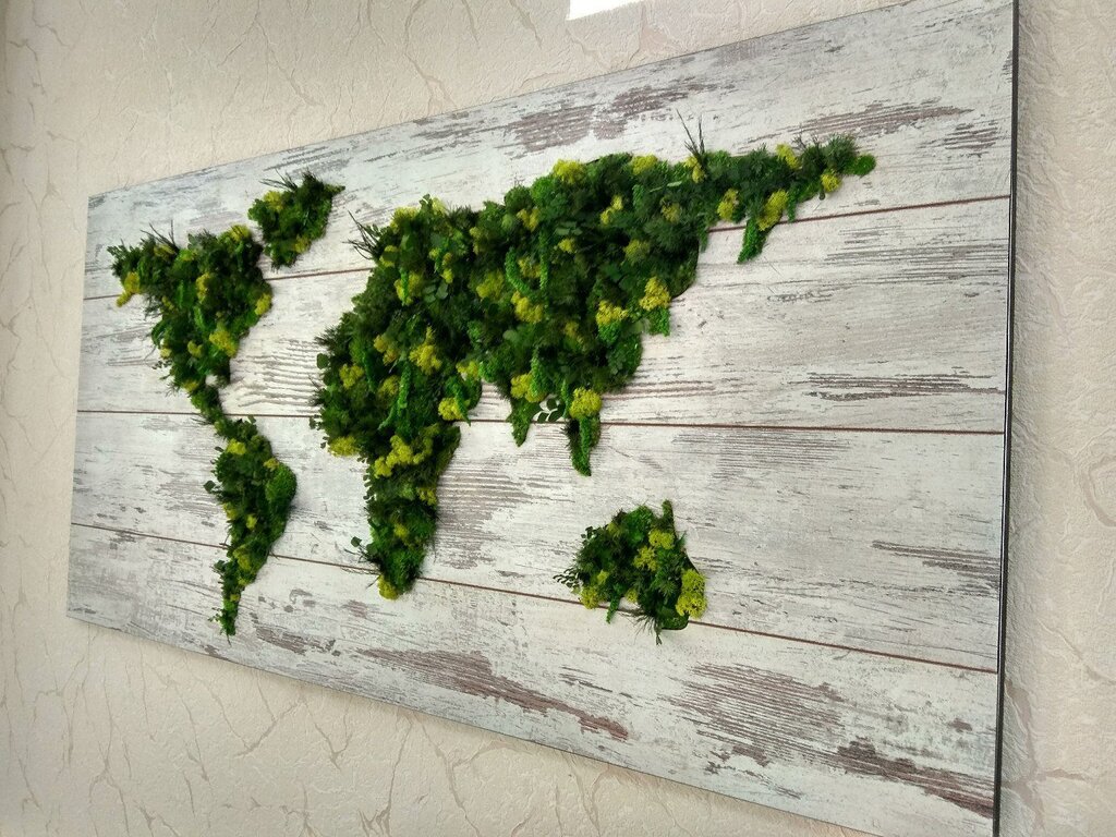 Панно из растений на стену
