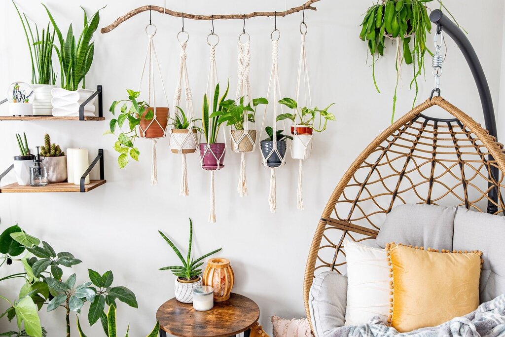 Hanging planters in the interior