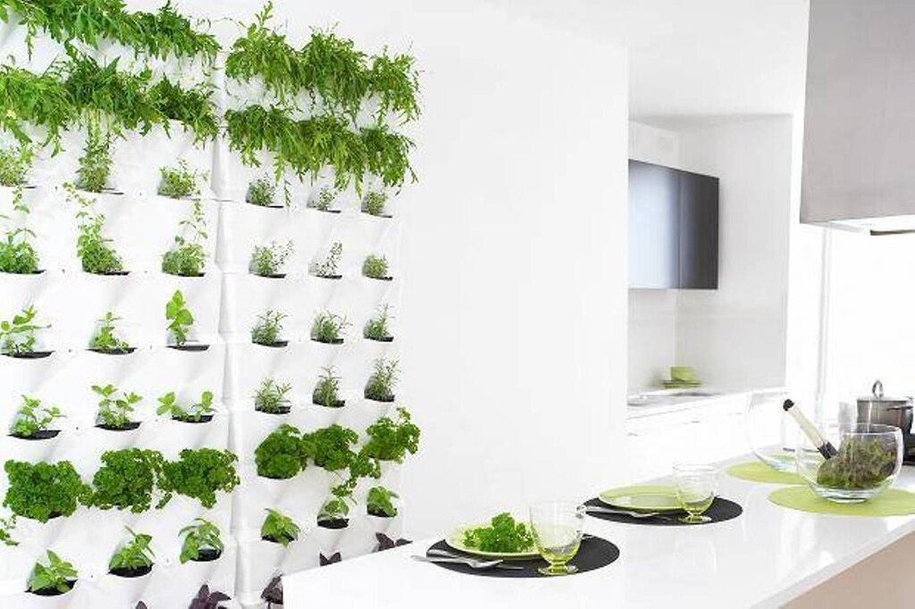 Полка для зелени на кухне