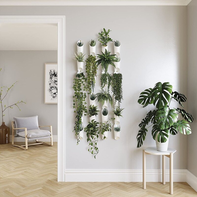 Plants on the wall in the interior