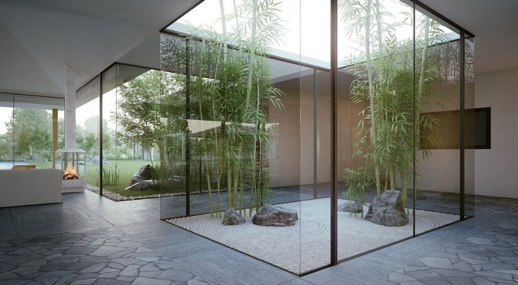 Растения за стеклом в интерьере