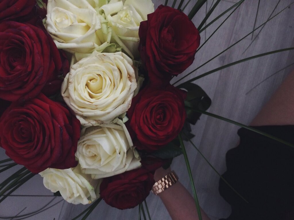 Розы на полу