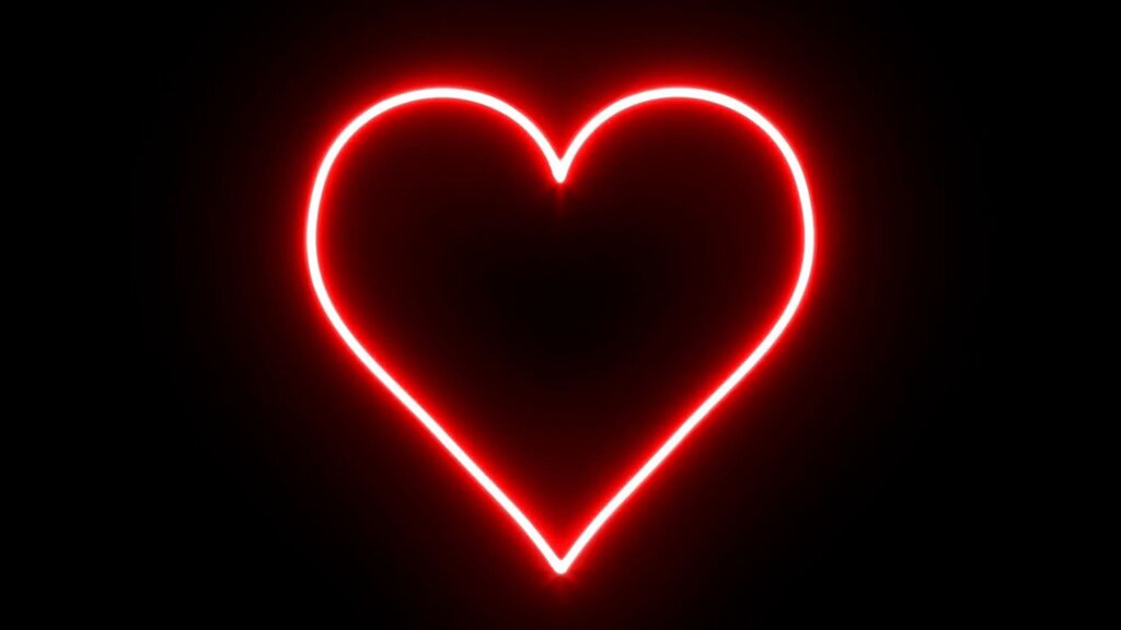 Heart on a black background of the image