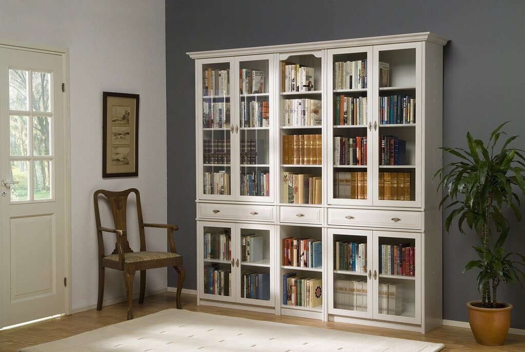 Современный книжный шкаф