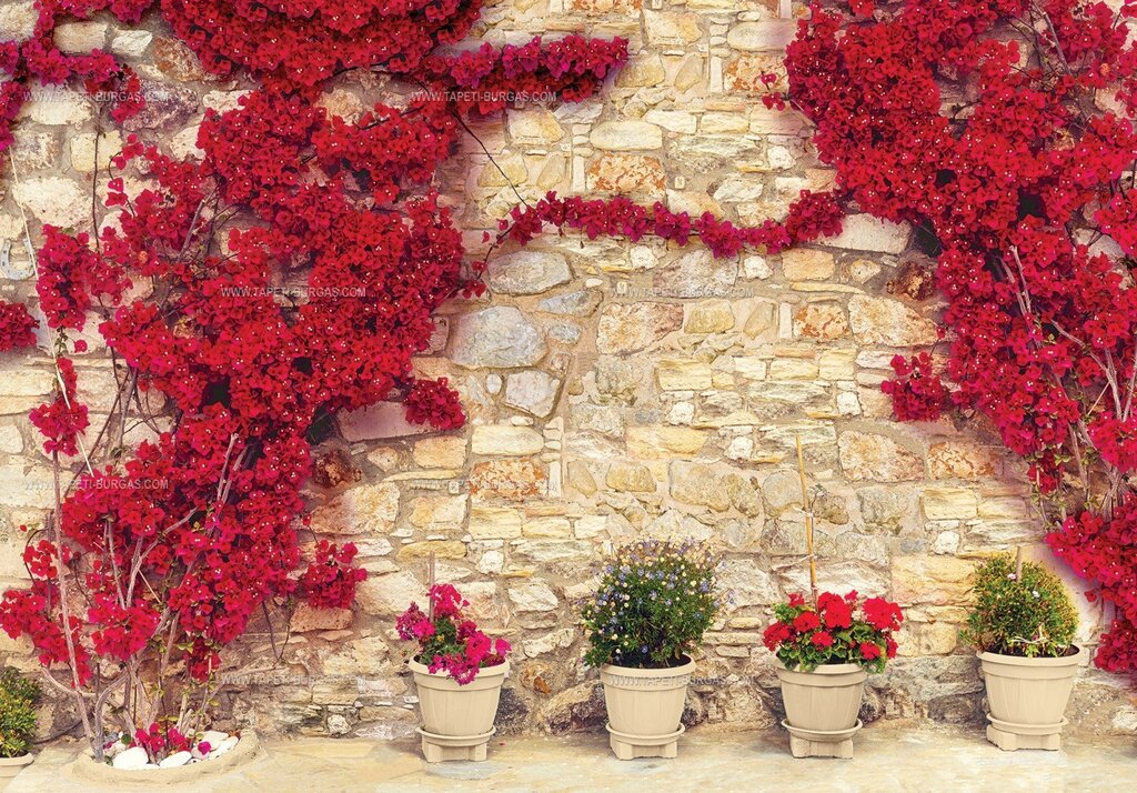 Стена с цветами