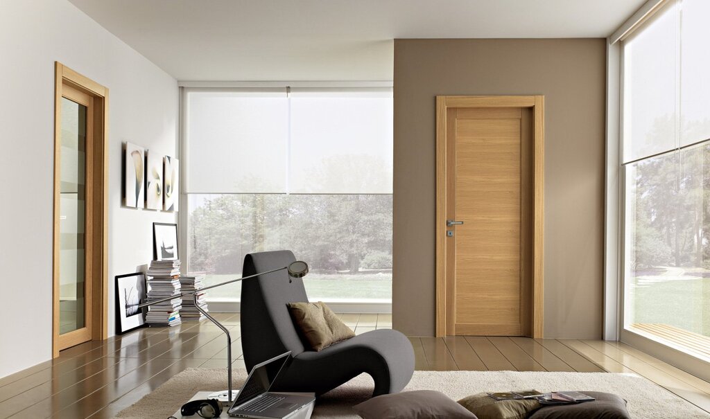 Stylish interior doors