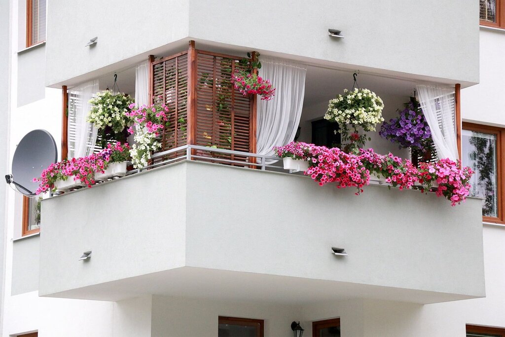 Flowers on the balcony