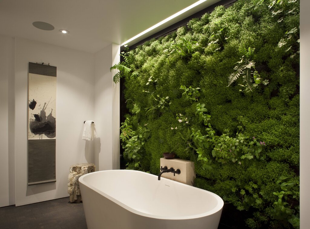 Greenery in the bathroom